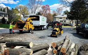 Best Commercial Tree Services  in Pitola, CA